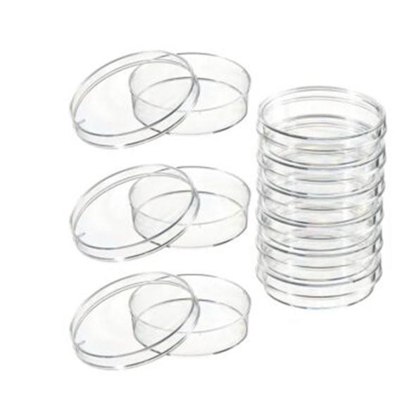 Empty Petri Dishes