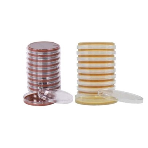Petri Dishes with Nutrients