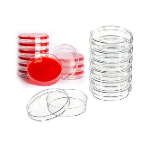 Petri Dish