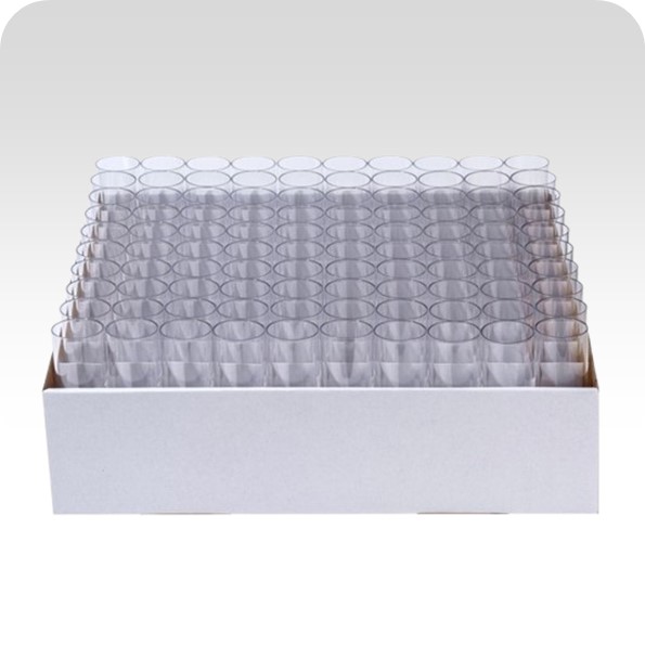 Drosophila